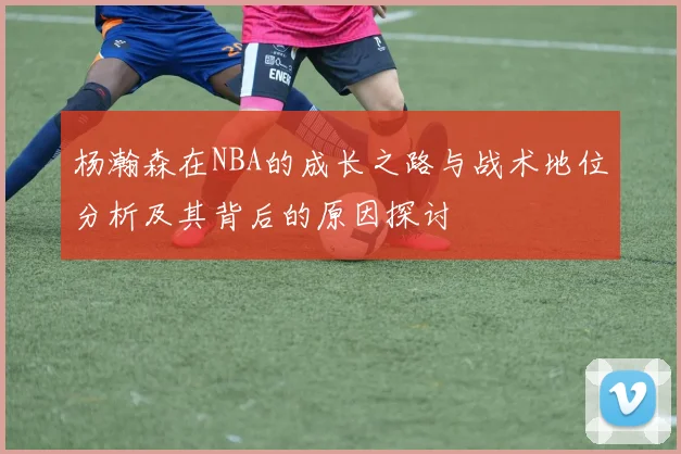 杨瀚森在NBA的成长之路与战术地位分析及其背后的原因探讨