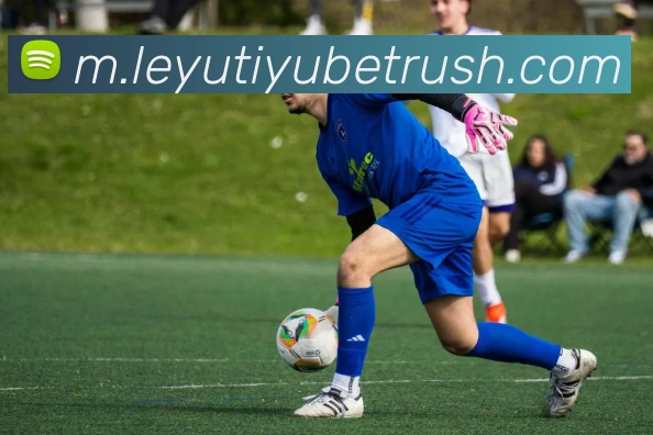 多媒体互动体验