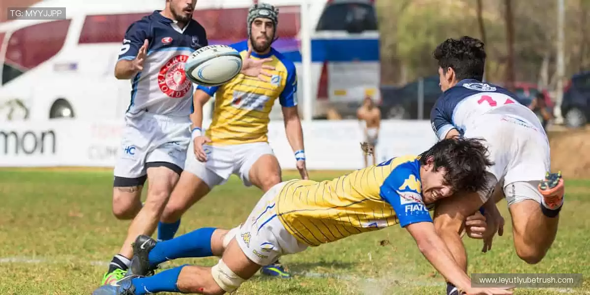 🚀一键直击，精彩永不缺席！🏉